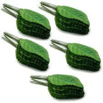 Artificial Leaf